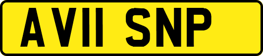 AV11SNP