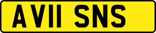 AV11SNS
