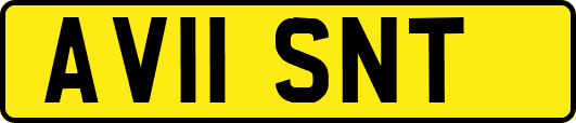 AV11SNT