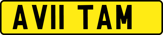 AV11TAM