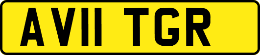 AV11TGR