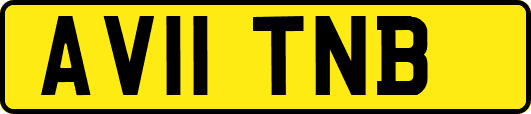 AV11TNB