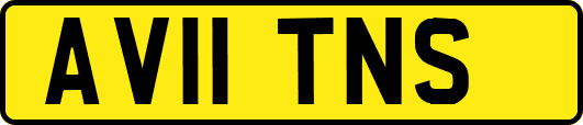 AV11TNS