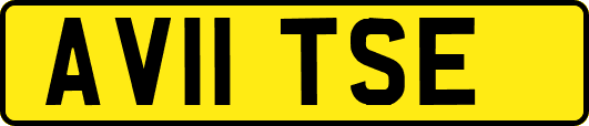 AV11TSE