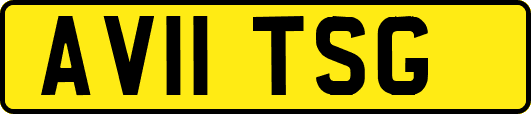 AV11TSG
