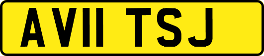AV11TSJ