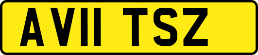 AV11TSZ