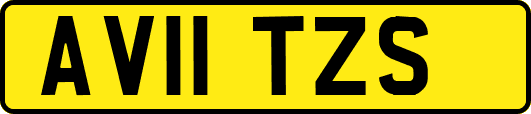 AV11TZS