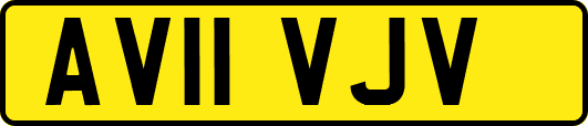 AV11VJV