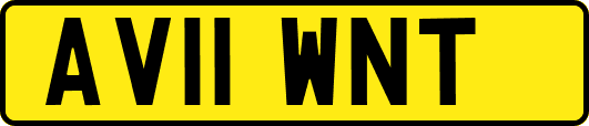 AV11WNT