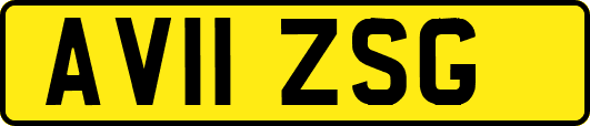 AV11ZSG