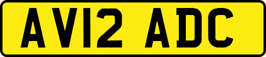 AV12ADC