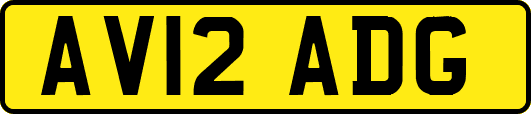 AV12ADG