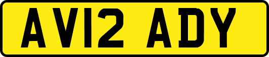 AV12ADY