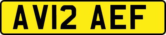 AV12AEF