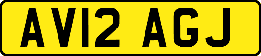 AV12AGJ