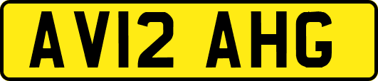 AV12AHG
