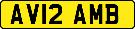 AV12AMB