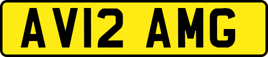AV12AMG