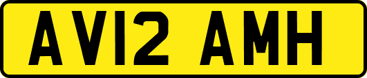AV12AMH