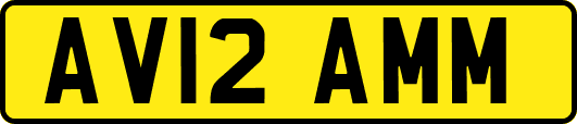 AV12AMM