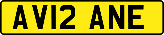 AV12ANE