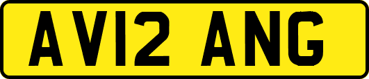 AV12ANG