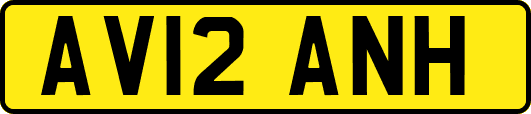 AV12ANH