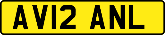 AV12ANL