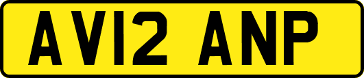 AV12ANP
