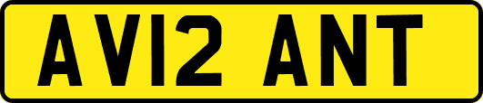 AV12ANT