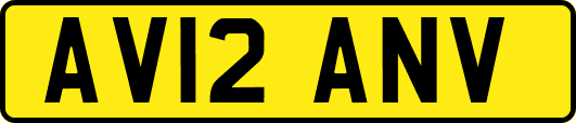 AV12ANV