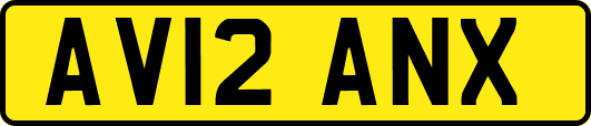 AV12ANX