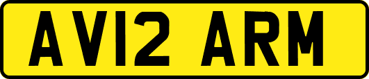 AV12ARM