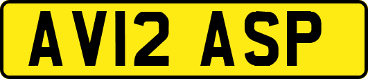 AV12ASP
