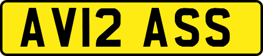 AV12ASS