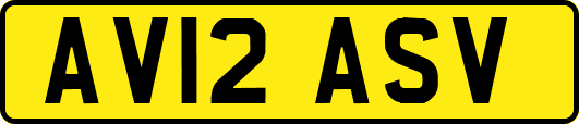 AV12ASV