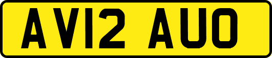 AV12AUO