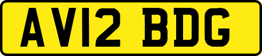 AV12BDG