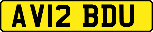 AV12BDU