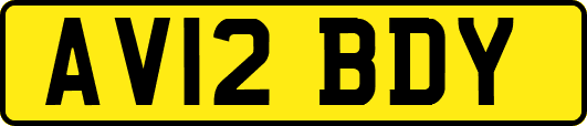 AV12BDY