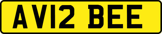 AV12BEE