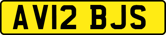 AV12BJS