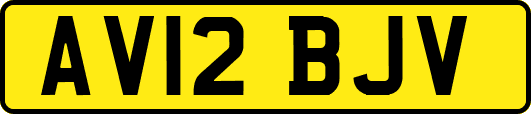 AV12BJV