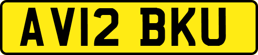 AV12BKU
