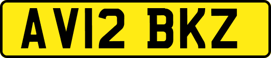 AV12BKZ