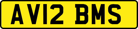 AV12BMS