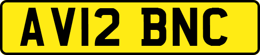 AV12BNC