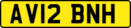 AV12BNH
