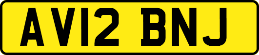 AV12BNJ